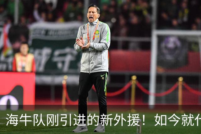 海牛队刚引进的新外援！如今就代表球队踢了一场比赛，就遭遇重伤